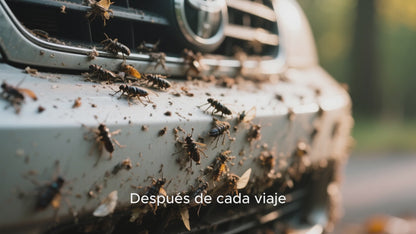 Eliminador de Insectos para Coches EcoRTCcar 500ml - Limpieza Profesional